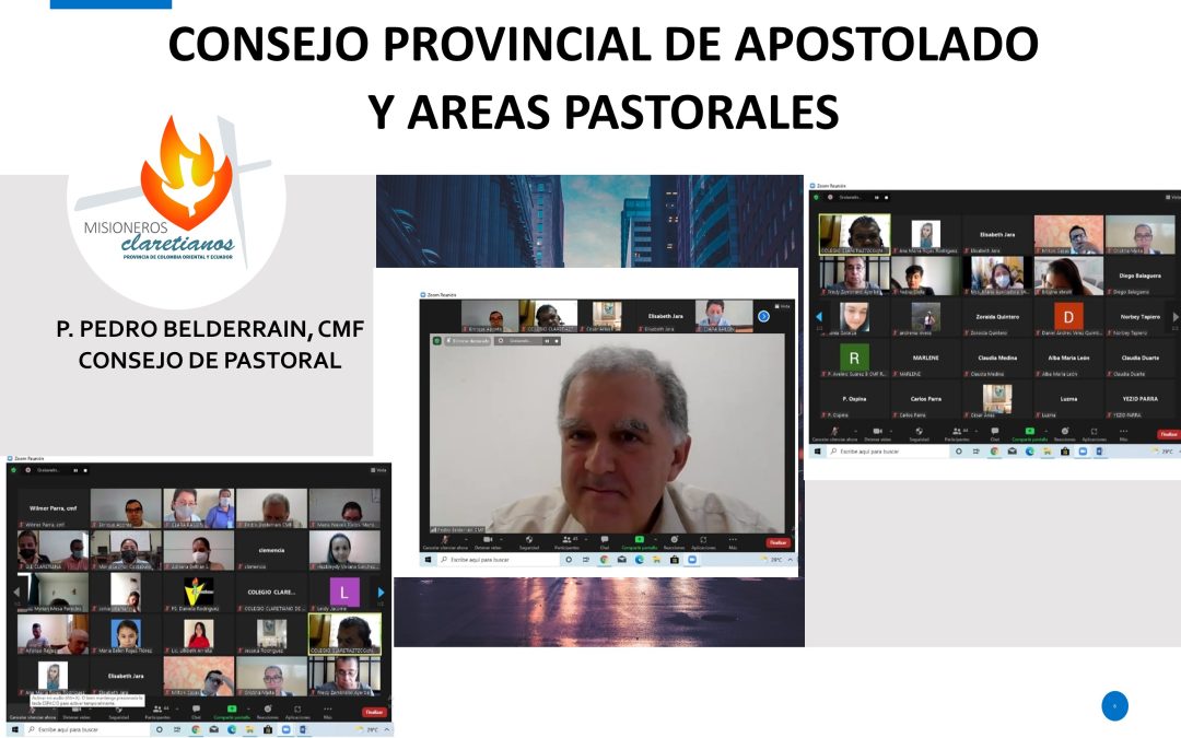 CONSEJO PROVINCIAL DE APOSTOLADO Y AREAS PASTORALES