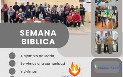 VIVIENDO EN SINODALIDAD